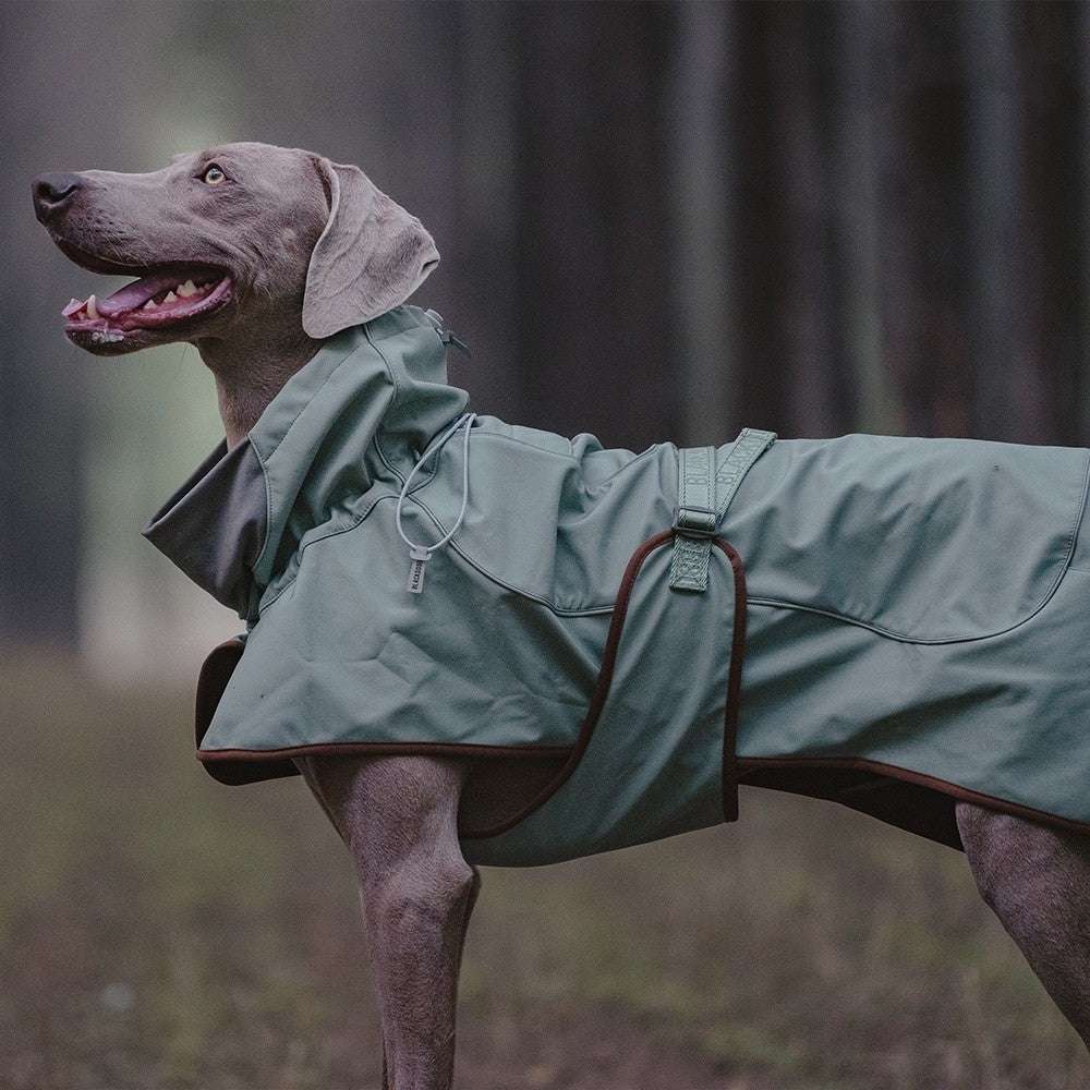 Basil Green-soft shell jacket Outdoor