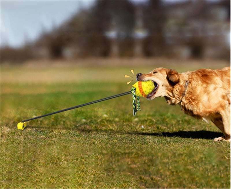 Outdoor pull rope with ball