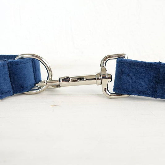Blue Dog Collar Set | Adjustable Leash & Bow Tie | Quality Pet Accessories
