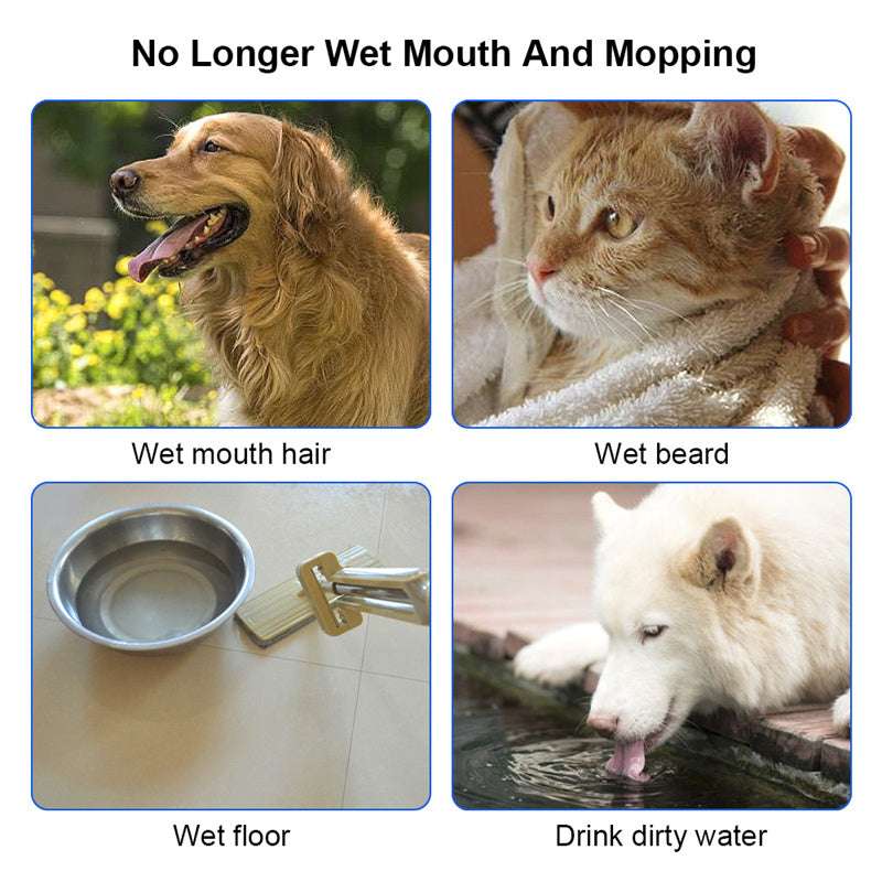 Anti-Spill Dog Water Bowl