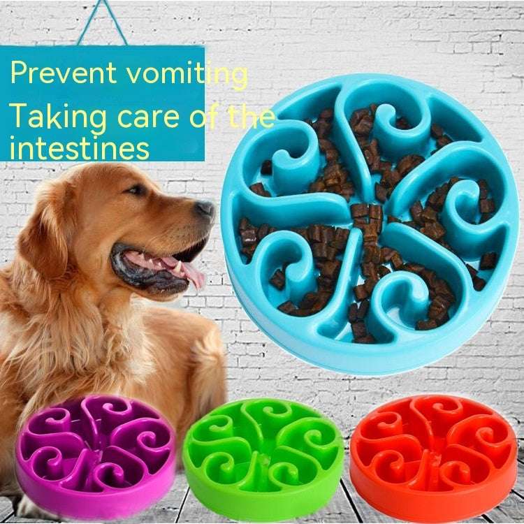 Slow Feeding Bowl