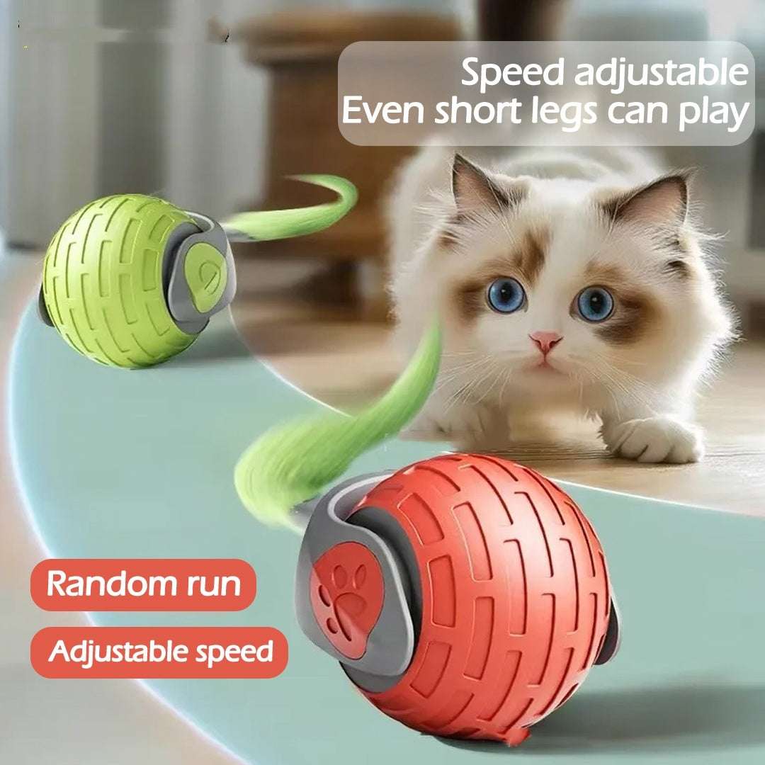 Electric Rolling Ball For Cats