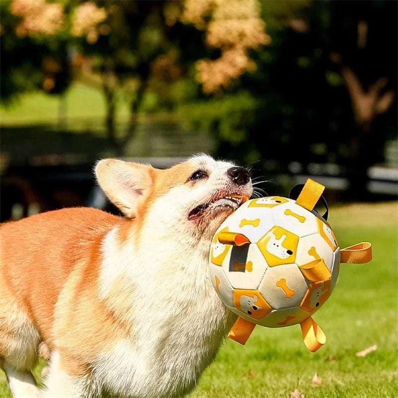 Dog Interactive Football