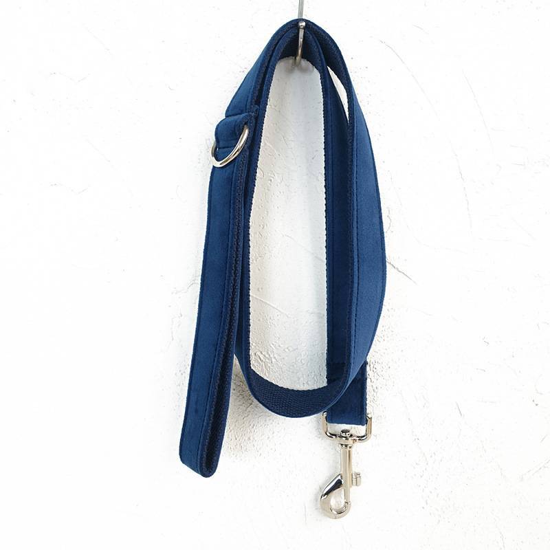 Blue Dog Collar Set | Adjustable Leash & Bow Tie | Quality Pet Accessories