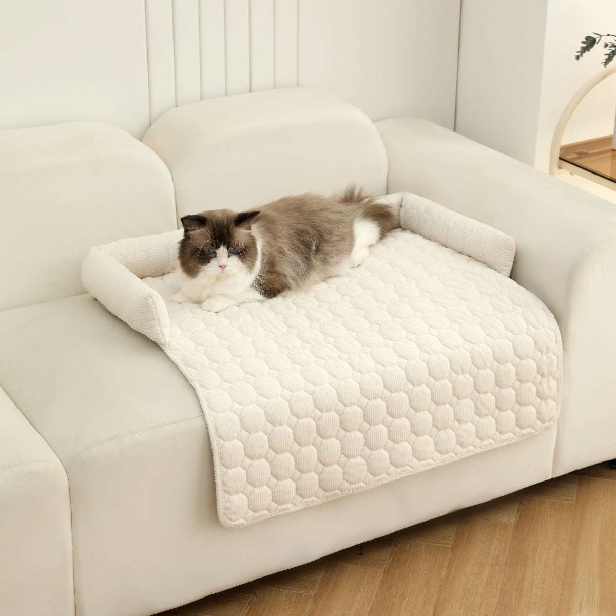 Sofa bed cover for pets