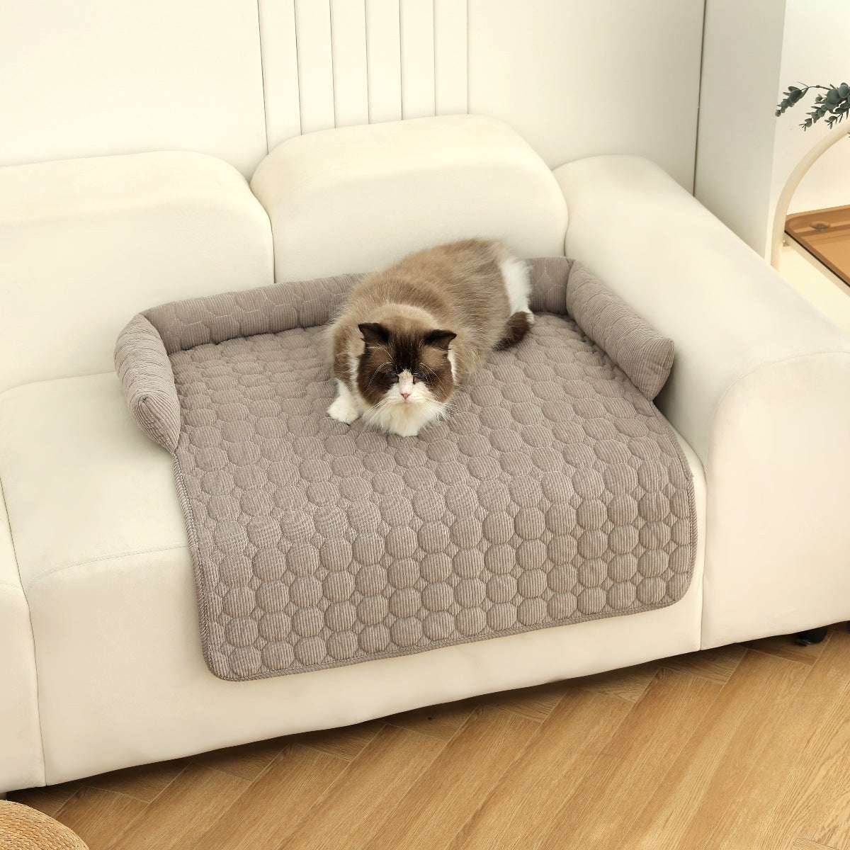 Sofa bed cover for pets