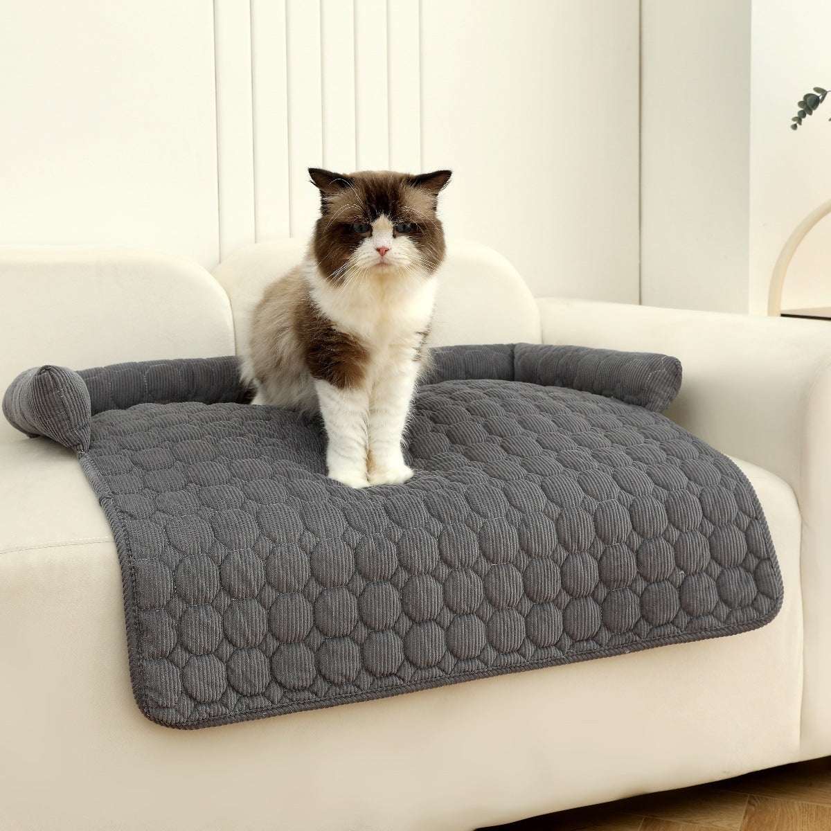 Sofa bed cover for pets