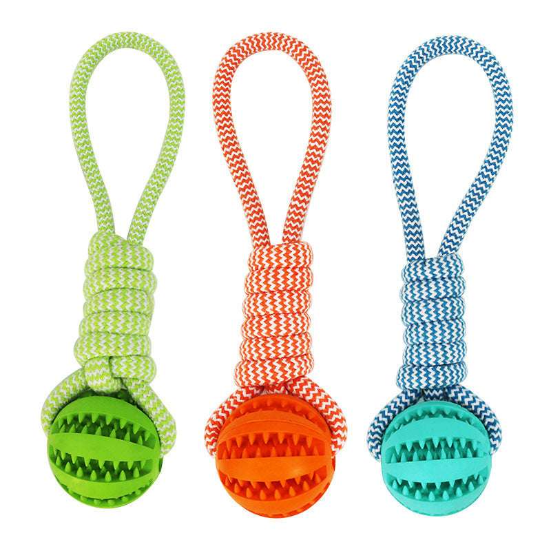 Interactive Dog Ball