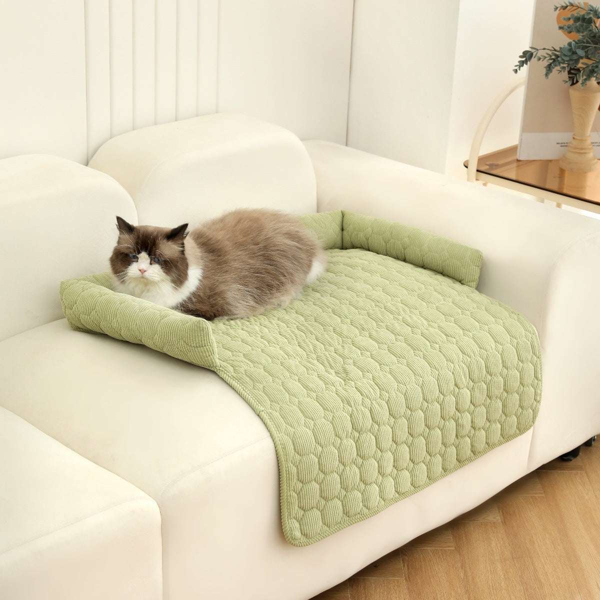 Sofa bed cover for pets