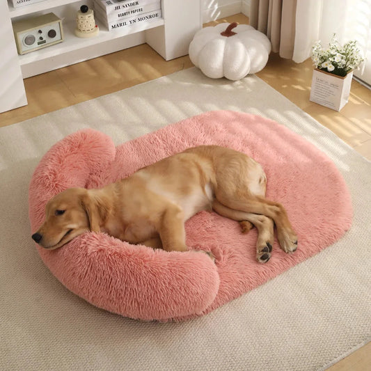 Orthopaedic Dog Bed - Waterproof Egg Foam Couch with Removable Cover Beds TailTastic Store