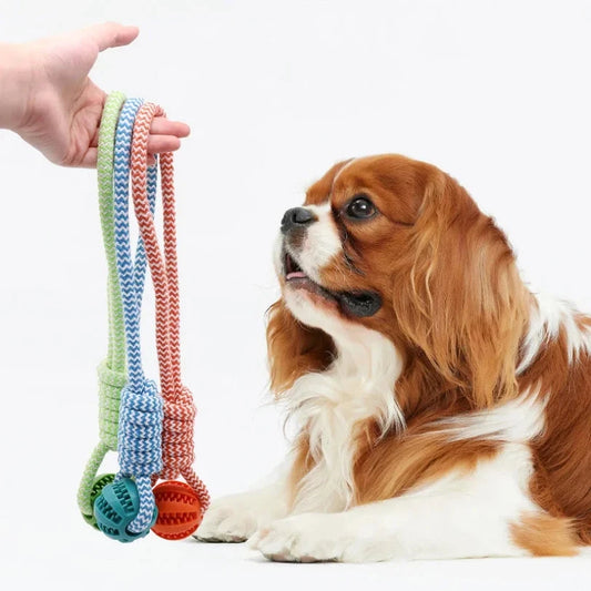 Pet Tooth‑Cleaning Ball Toy with Rope, Bite‑Resistant Rubber, Puzzle‑Feed Design Dog toys TailTastic Store