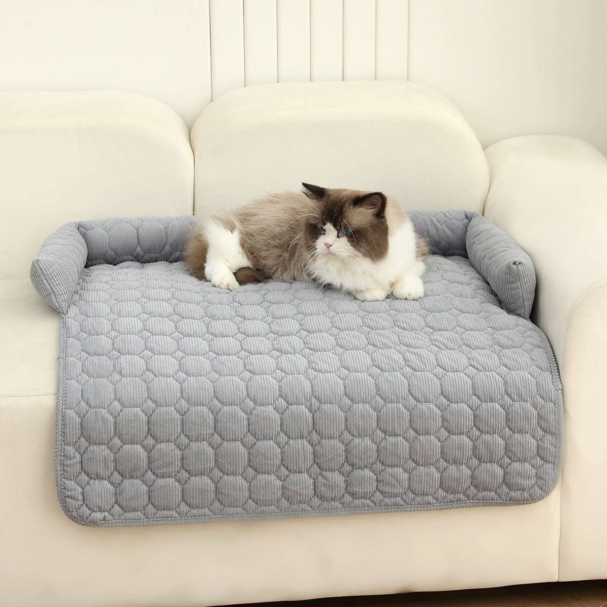 Sofa bed cover for pets
