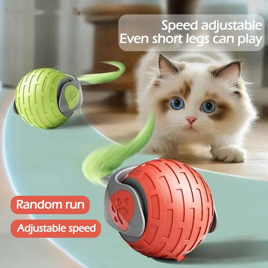 Electric Rolling Ball For Cats