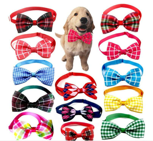 Dog Tie