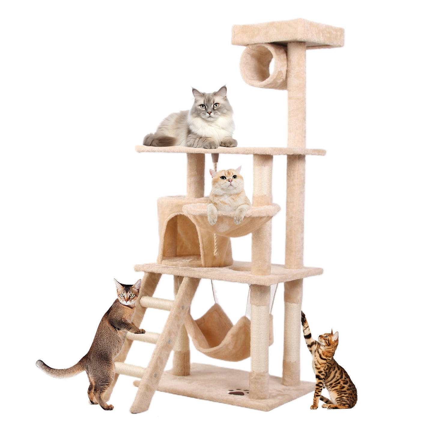 Cat Climbing Frame – Multi-Level Cat Tree - TailTastic Store