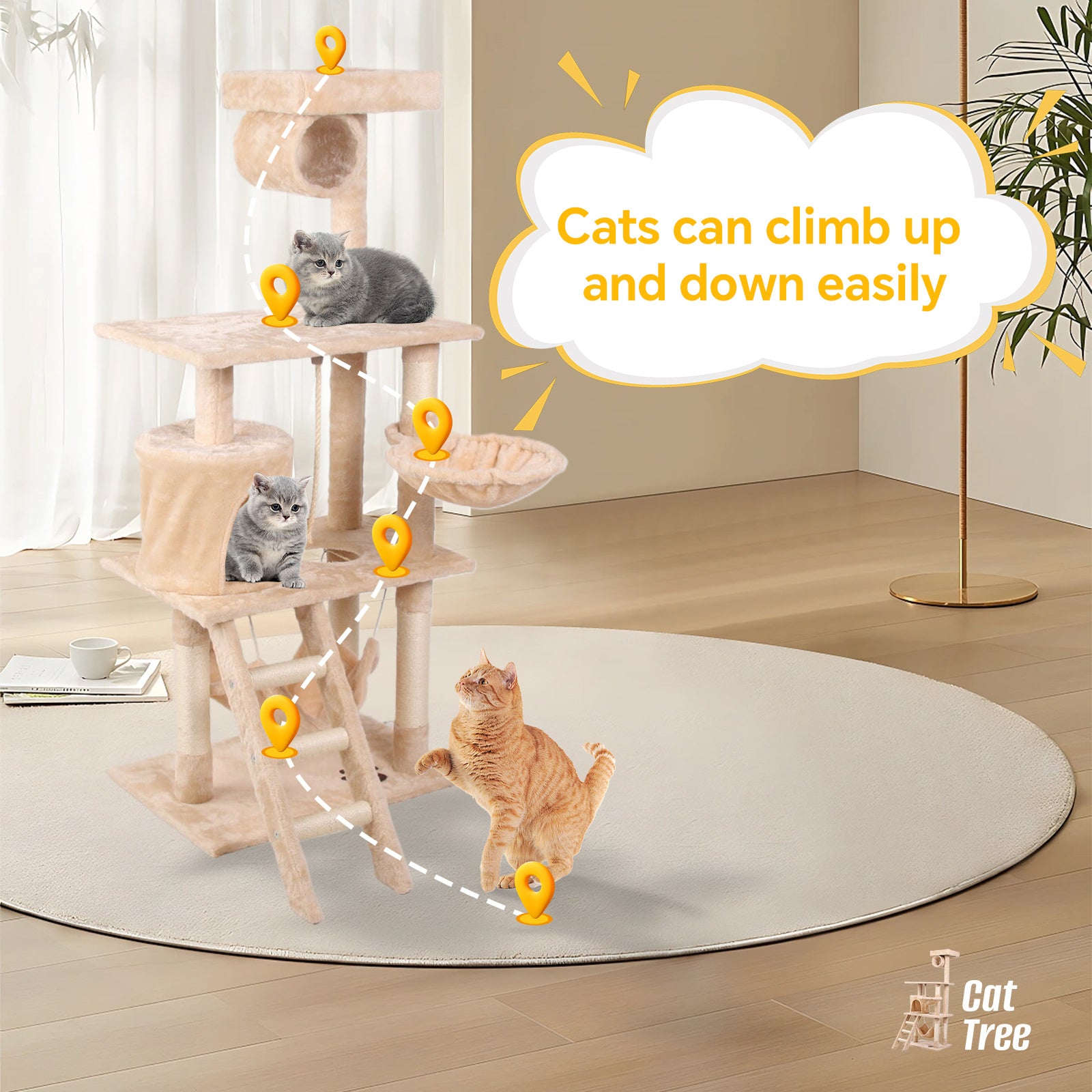 Cat Climbing Frame – Multi-Level Cat Tree - TailTastic Store