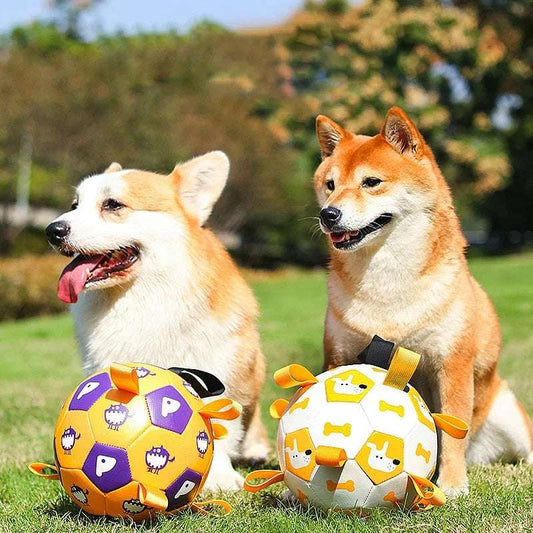 Dog Interactive Football