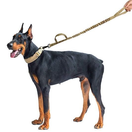 Elastic Training Leash - Dual Handle Dog Lead
