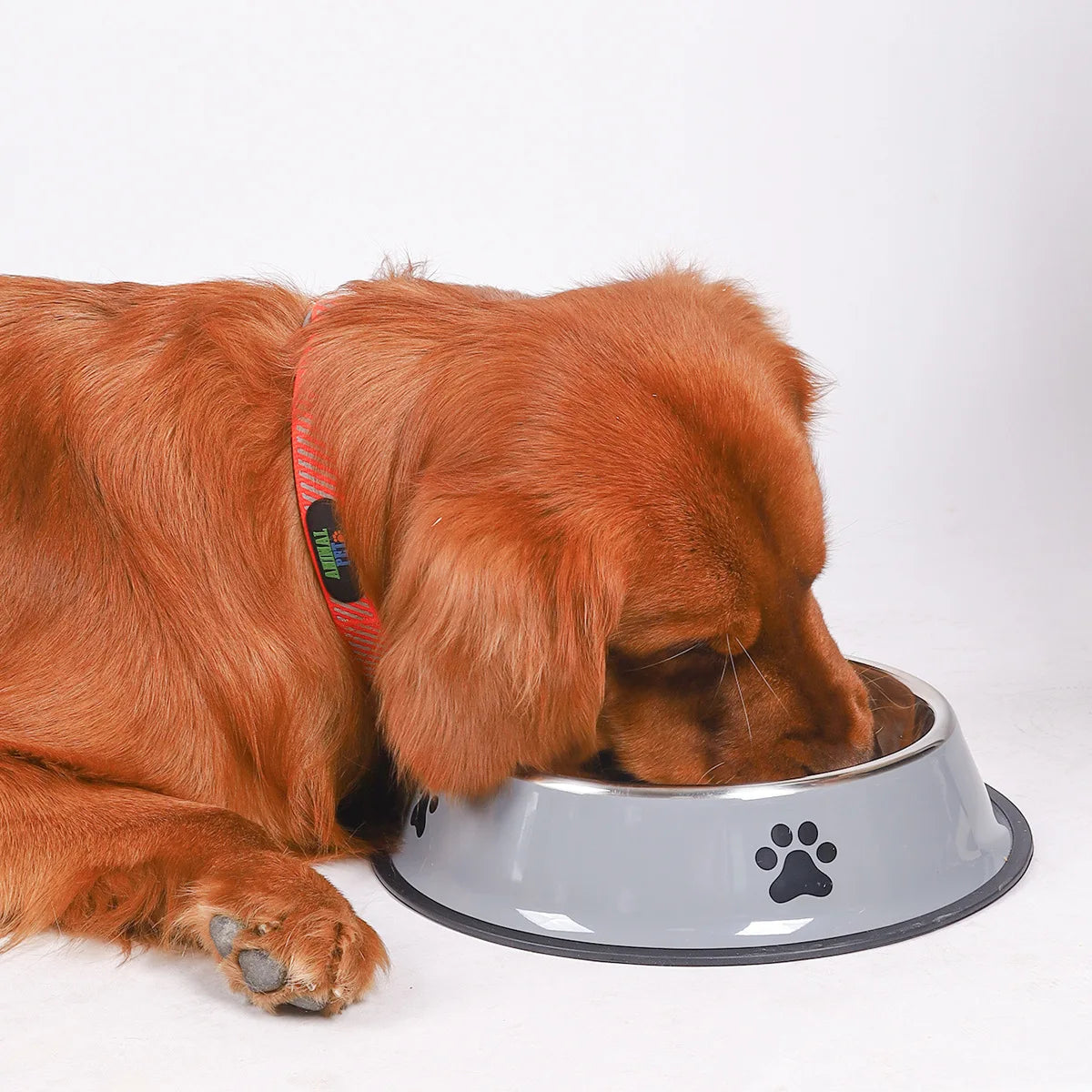 Stainless Steel Dog Bowl – Rust‑Resistant, Slip‑Proof, Dishwasher Safe