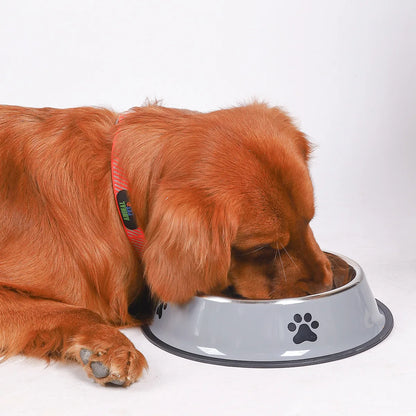 Stainless Steel Dog Bowl – Rust‑Resistant, Slip‑Proof, Dishwasher Safe