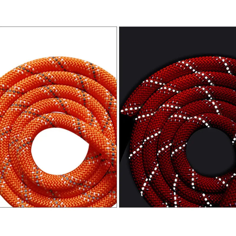 Long Dog Training Leash 2m–20m - Reflective Nylon Rope with Padded Handle