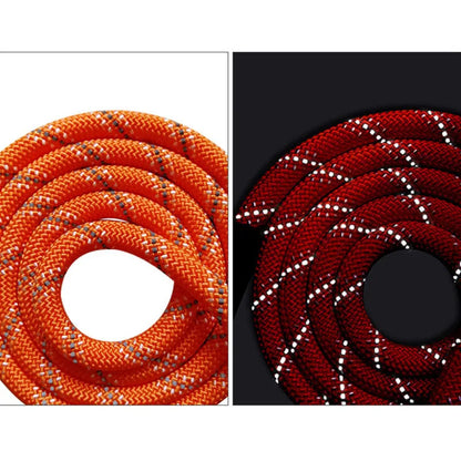 Long Dog Training Leash 2m–20m - Reflective Nylon Rope with Padded Handle