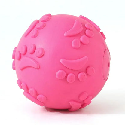 Bite‑Resistant Pet Toy Ball