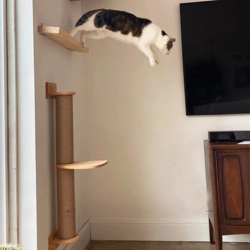 Wall Mounted Cat Tree Wooden Climbing Platform with Jute Scratching Post