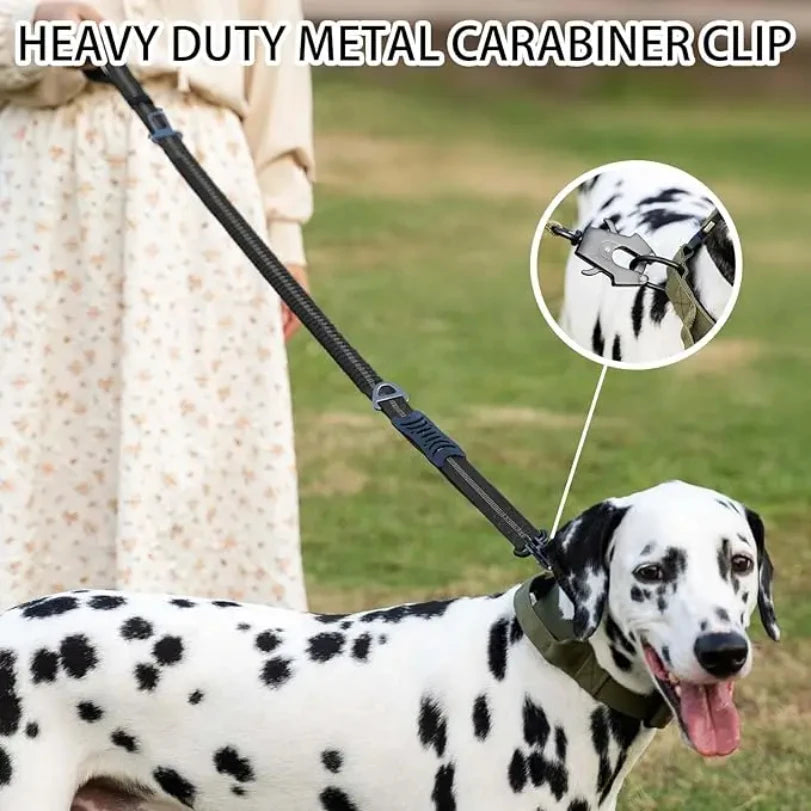 Reflective Tactical Bungee Dog Leash - No‑Pull, Car Seatbelt Clip