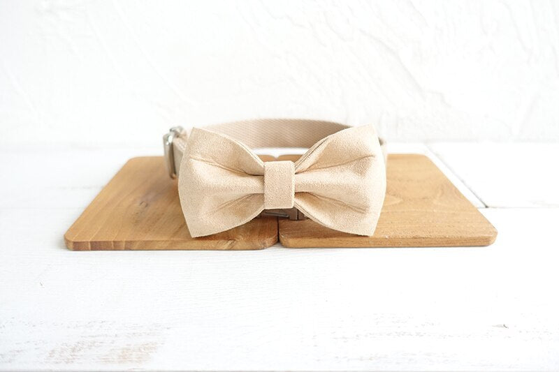 Beige Dog Collar Set | Adjustable Leash & Bow Tie | Quality Pet Accessories