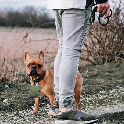 Person walking a small brown dog on a leash in an outdoor setting
