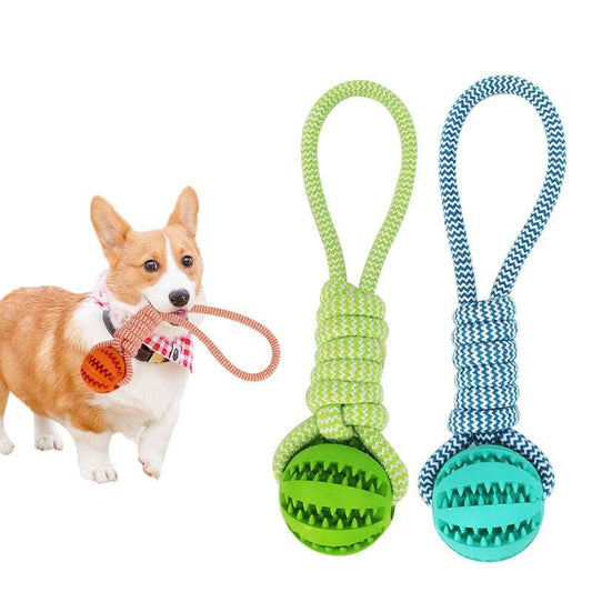 Interactive Dog Ball