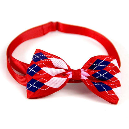Dog Tie