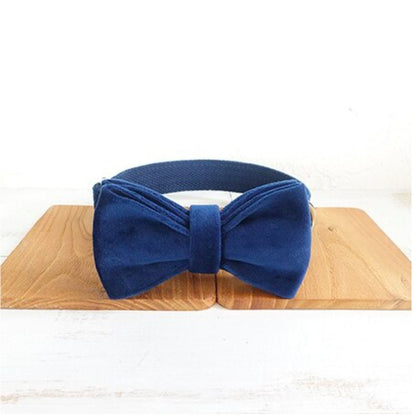 Blue  Dog Collar Set | Adjustable Leash & Bow Tie | Quality Pet Accessories