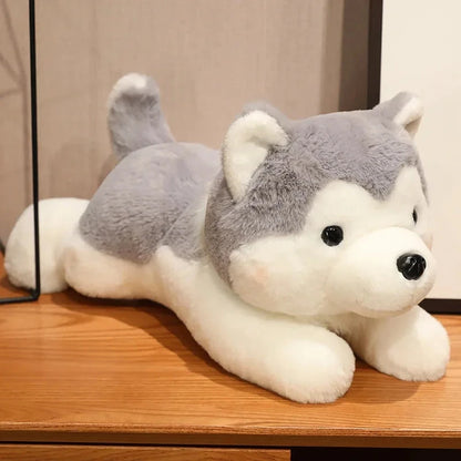 Plush toy husky dog on a wooden surface with a neutral background