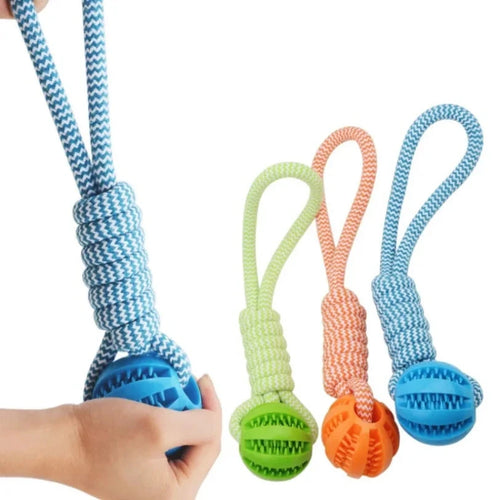 Pet Tooth‑Cleaning Ball Toy with Rope, Bite‑Resistant Rubber, Puzzle‑Feed Design Dog toys TailTastic Store 